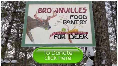 Brownvilles Food Pantry For Deer